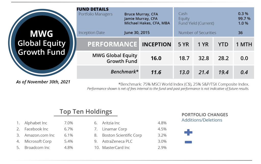 Global Equity Fund Performance - November 2021